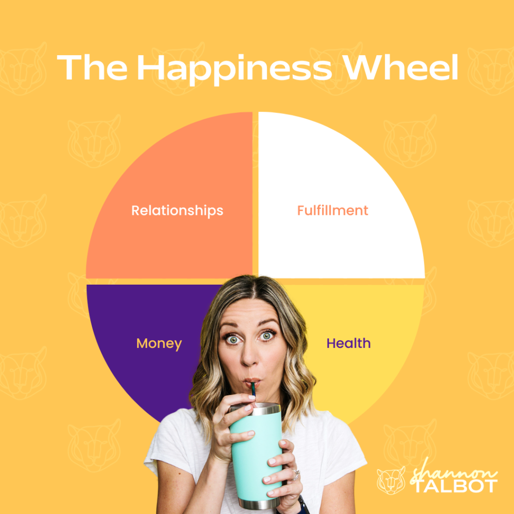 The Happiness Wheel - a wheel that shows the 4 key areas impacting people's happiness - relationships, fulfillment, health and money.